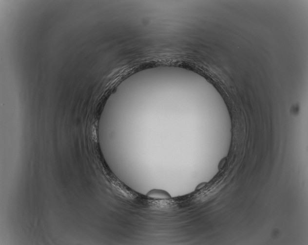 X0000097590432200802290753