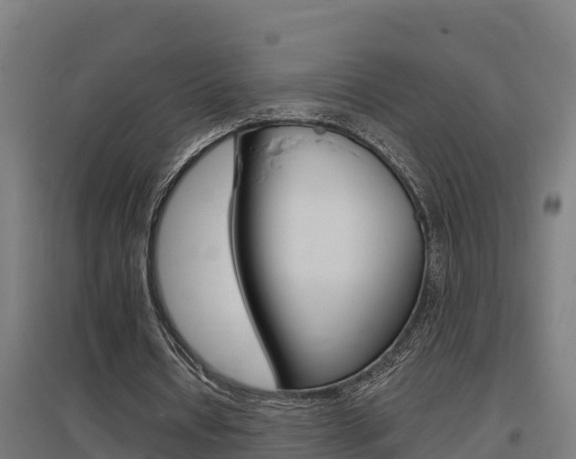 X0000097590434200802290753