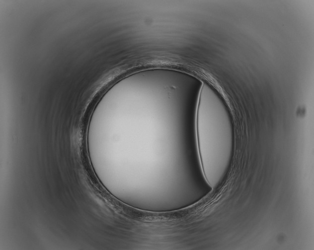 X0000097590435200802290753