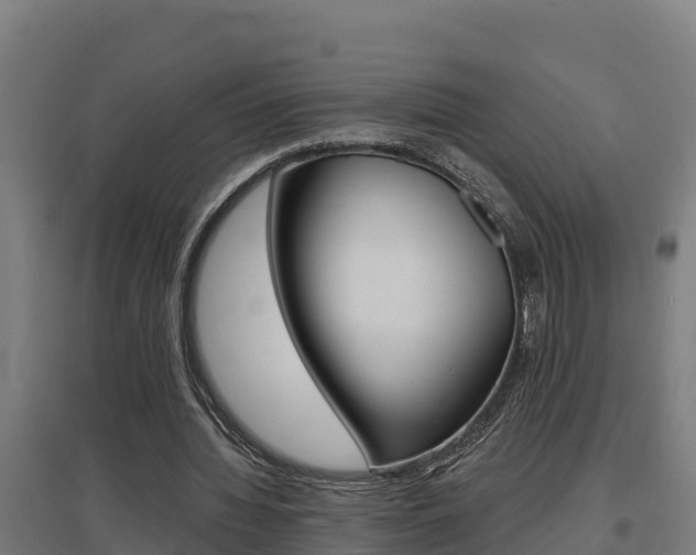 X0000097590436200802290753