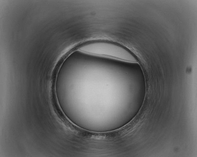 X0000097590440200802290753