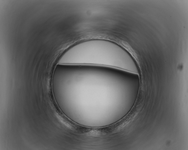 X0000097590441200802290753