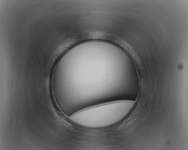 X0000097590442200802290753