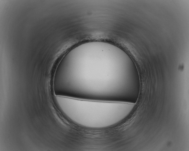 X0000097590443200802290753