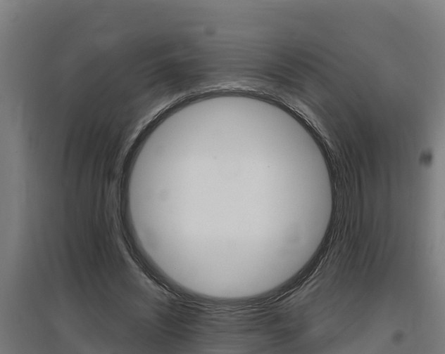 X0000097590444200802290753