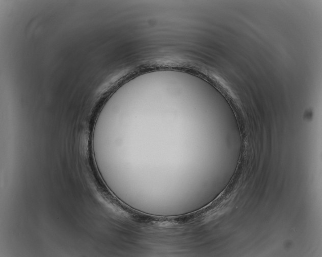 X0000097590446200802290753