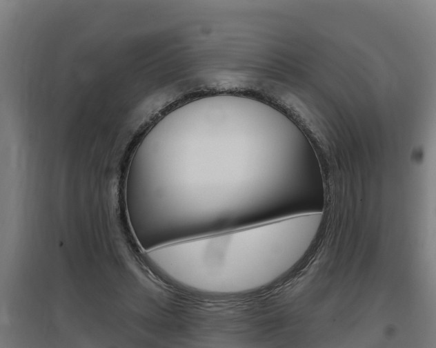X0000097590447200802290753
