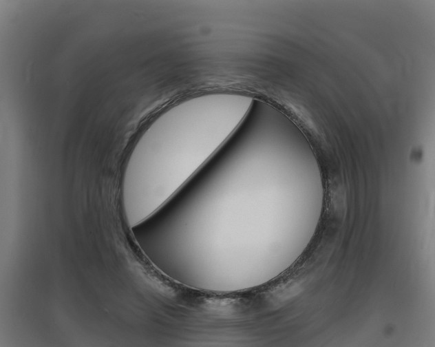 X0000097590450200802290753