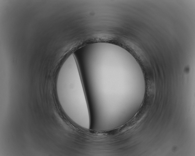 X0000097590451200802290753