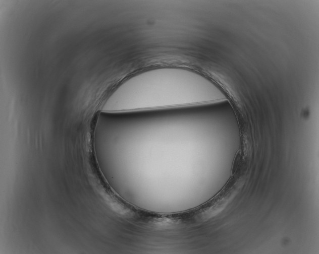 X0000097590453200802290753