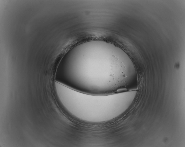 X0000097590456200802290753