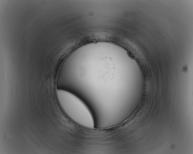 X0000097590457200802290753