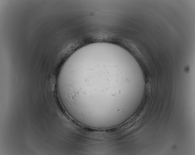 X0000097590458200802290753