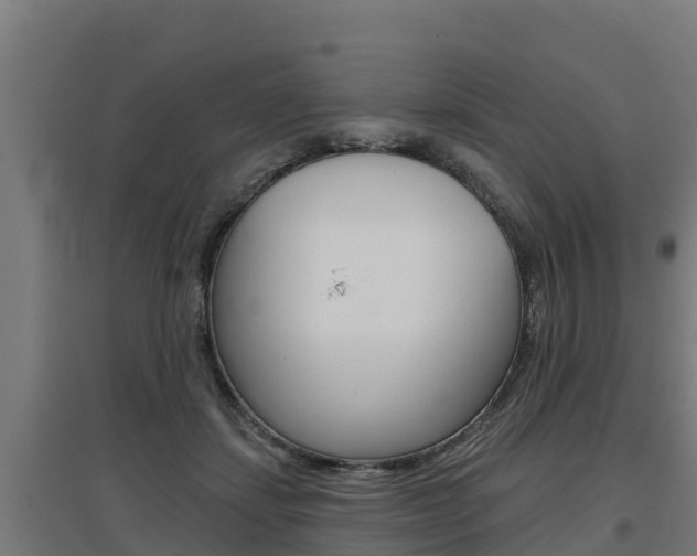 X0000097590459200802290753
