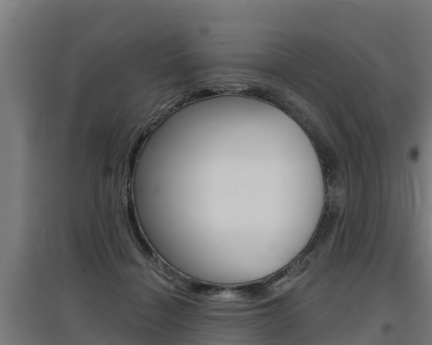 X0000097590460200802290753