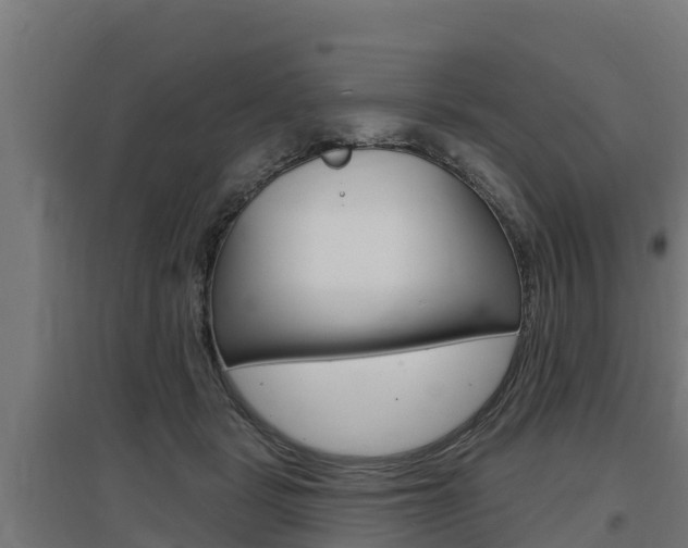 X0000097590461200802290753