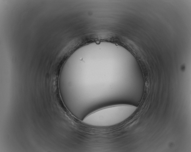 X0000097590462200802290753