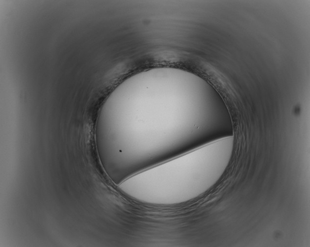 X0000097590463200802290753