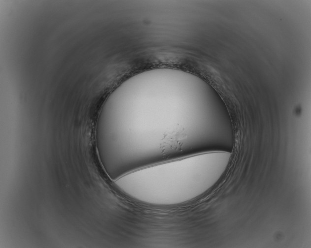 X0000097590464200802290753