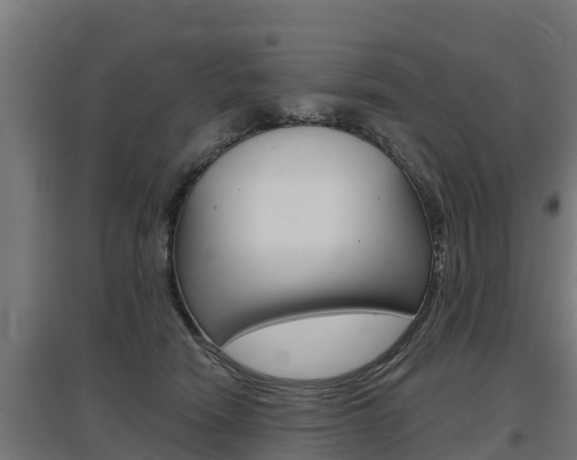 X0000097590466200802290753