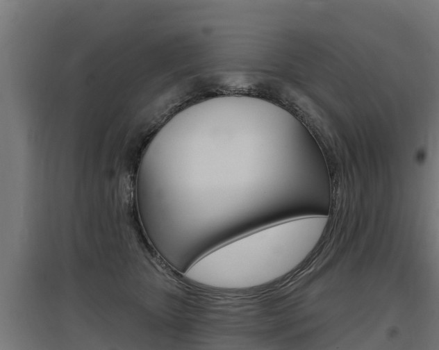 X0000097590467200802290753
