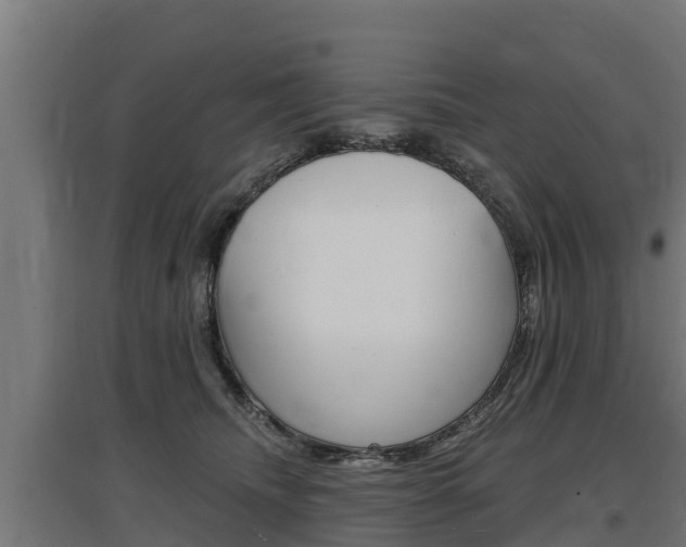 X0000097590468200802290753