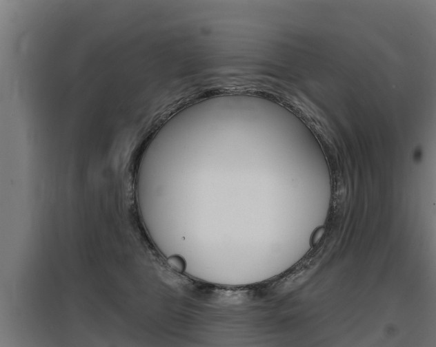 X0000097590469200802290753