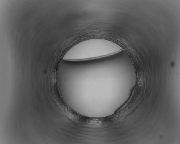 X0000097590471200802290753