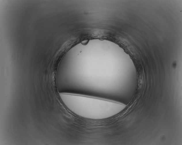 X0000097590473200802290753