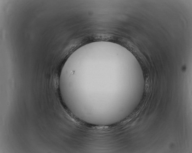 X0000097590474200802290753