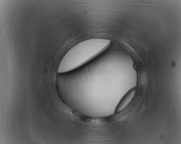 X0000097590475200802290753