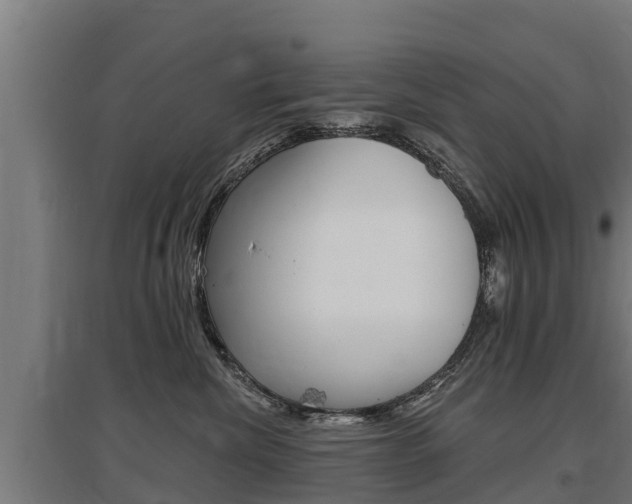 X0000097590476200802290753