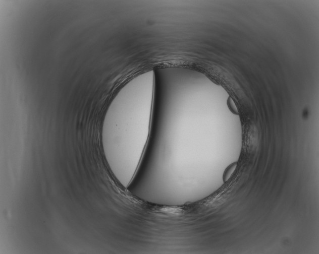 X0000097590478200802290753