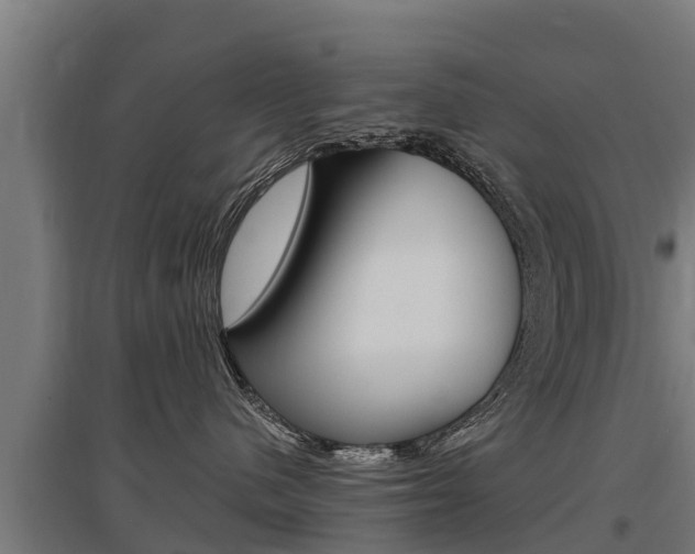 X0000097590480200802290753