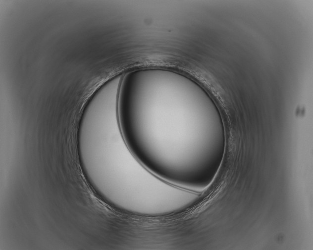 X0000097590481200802290753