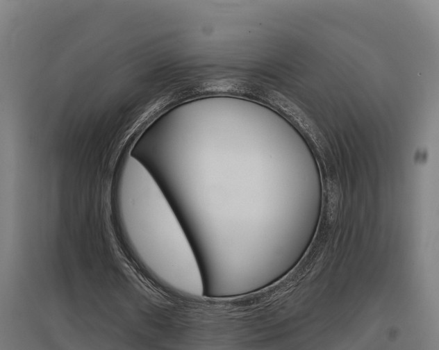 X0000097590482200802290753