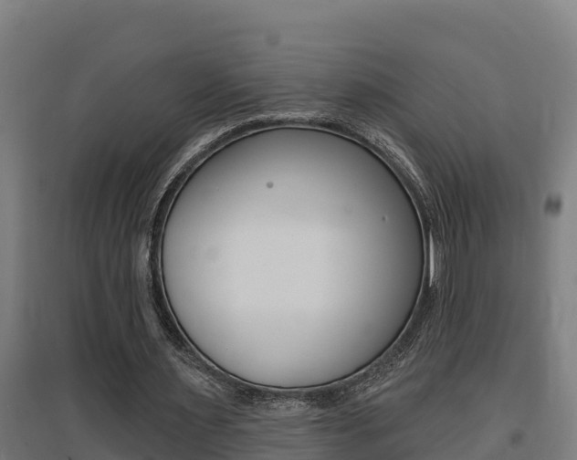 X0000097590483200802290753