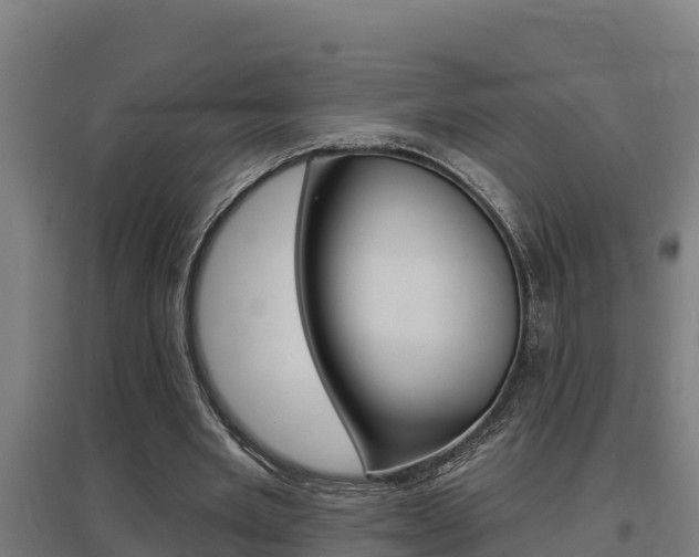 X0000097590485200802290752