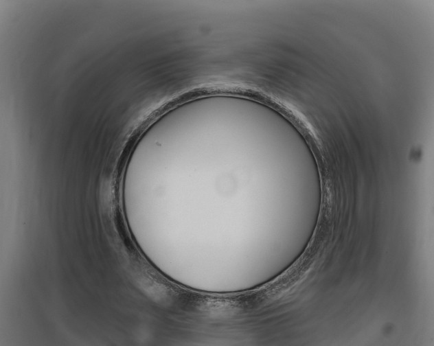 X0000097590487200802290752