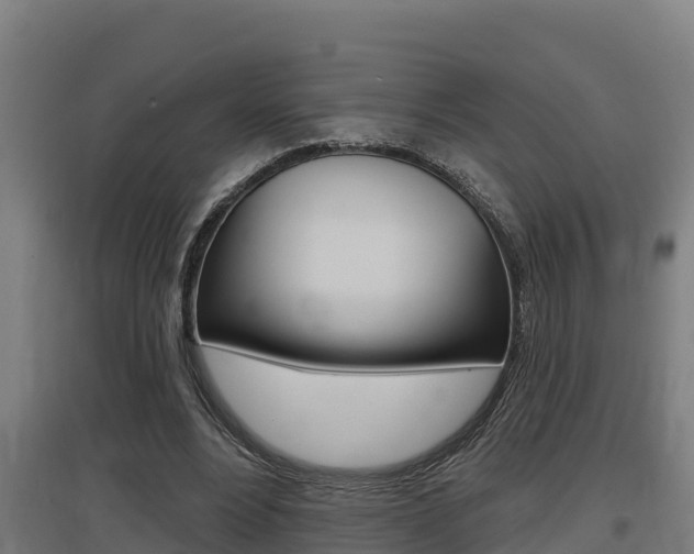 X0000097590488200802290752