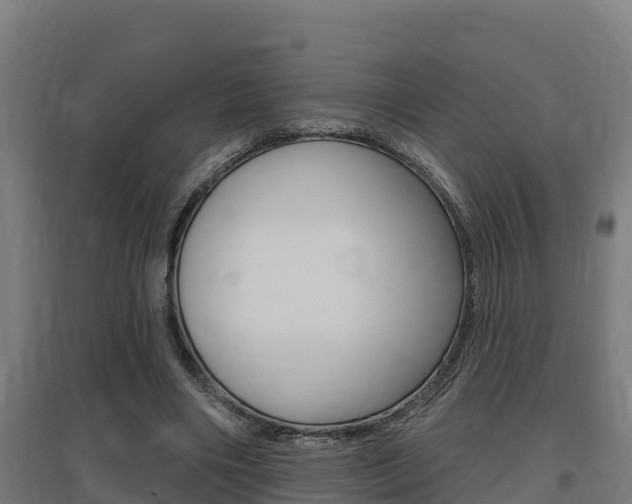 X0000097590490200802290752