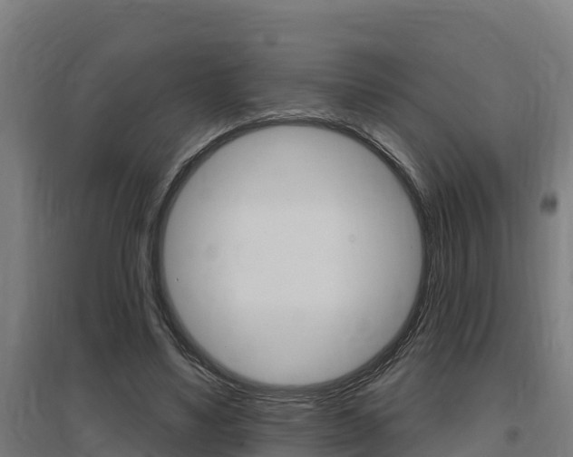 X0000097590491200802290752