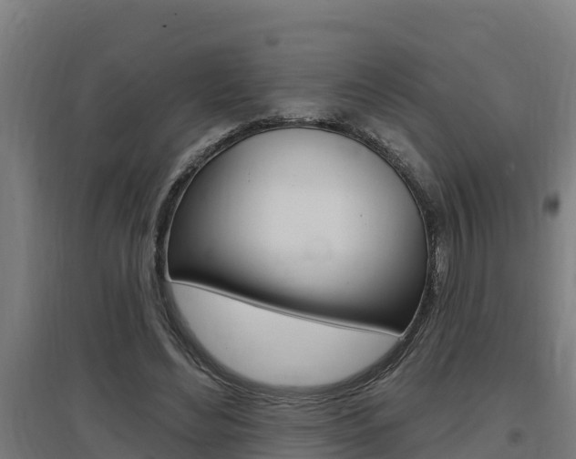 X0000097590492200802290752