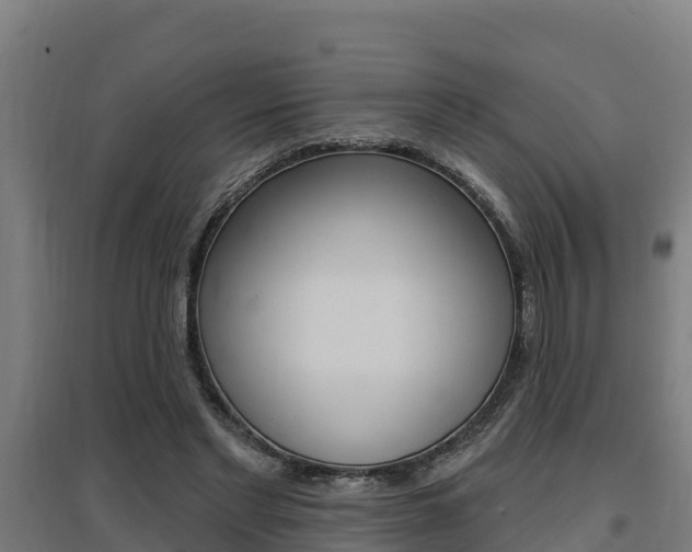 X0000097590493200802290752
