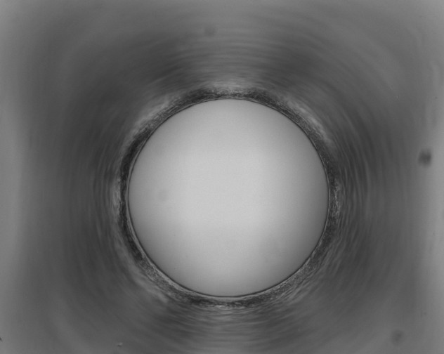 X0000097590494200802290752
