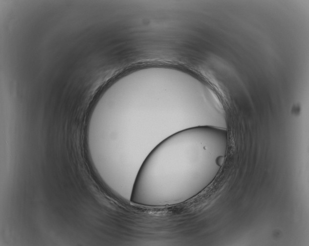 X0000097590495200802290752