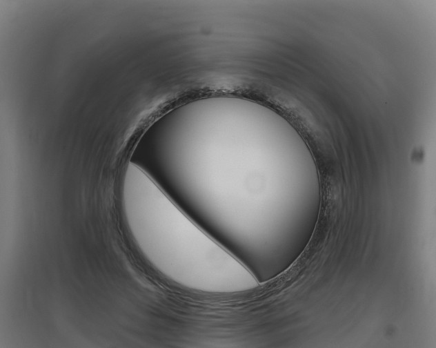 X0000097590496200802290752
