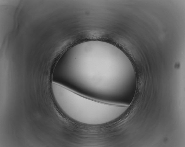 X0000097590497200802290752