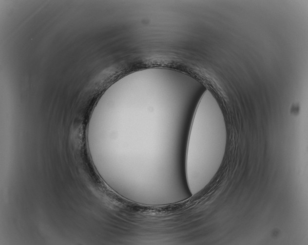 X0000097590498200802290752