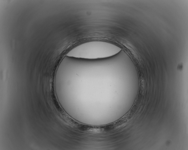 X0000097590499200802290752